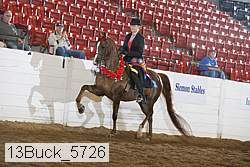 13buck_5726 proof