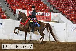 13buck_5727 proof