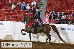 13buck_5728 proof