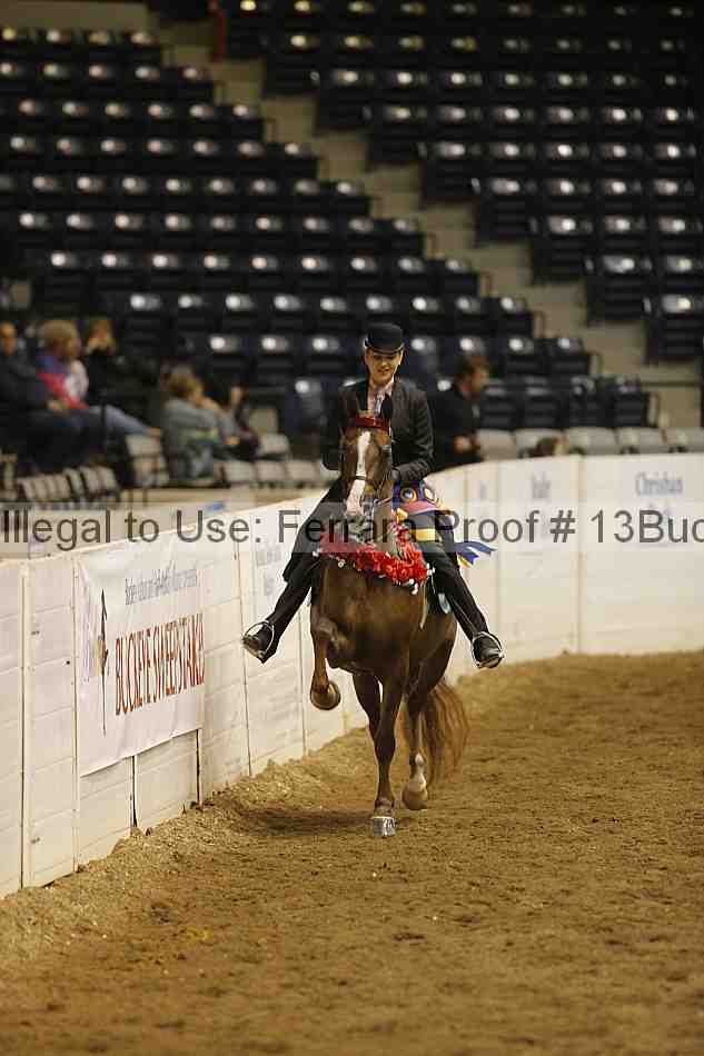 Proof 13buck_5729