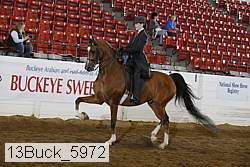13buck_5972 proof