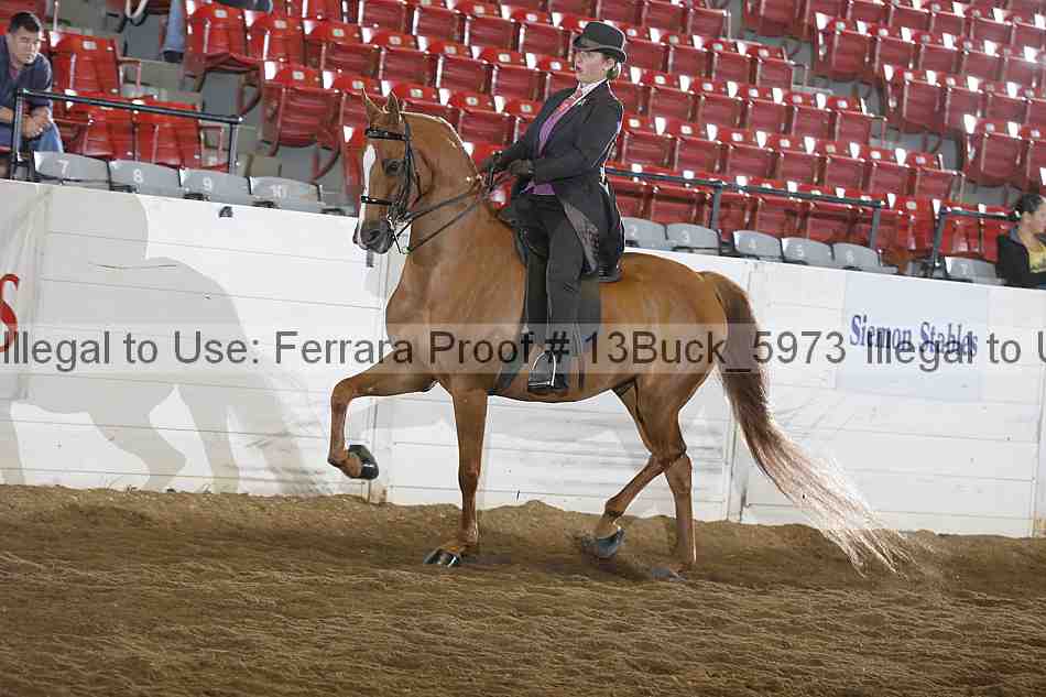 Proof 13buck_5973