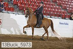 13buck_5973 proof