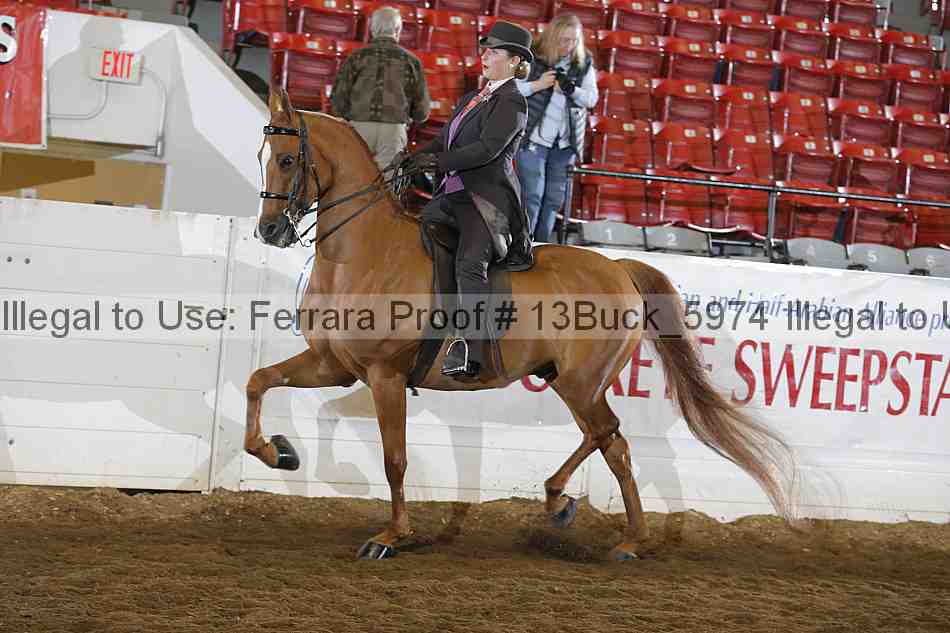 Proof 13buck_5974