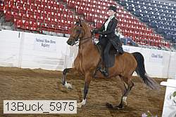 13buck_5975 proof