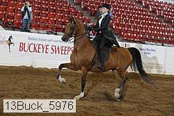 13buck_5976 proof