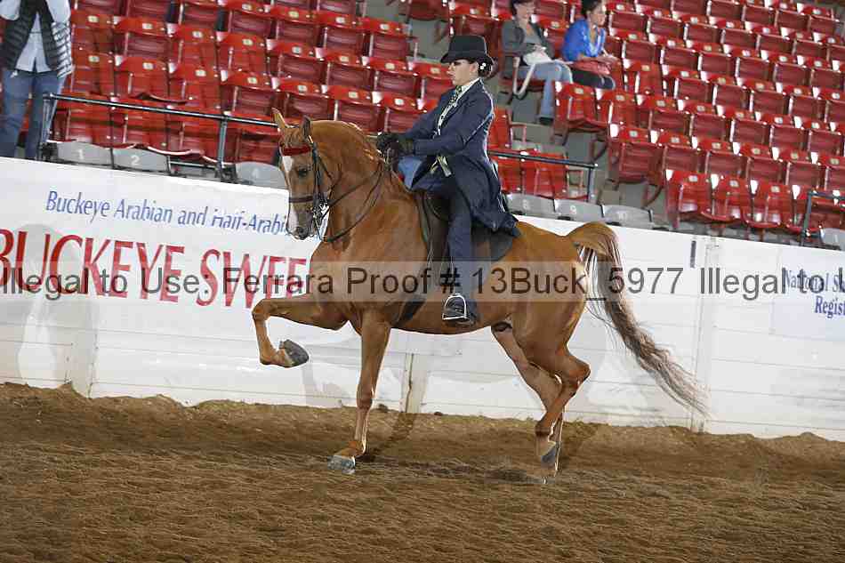 Proof 13buck_5977