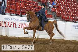 13buck_5977 proof