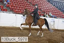 13buck_5978 proof