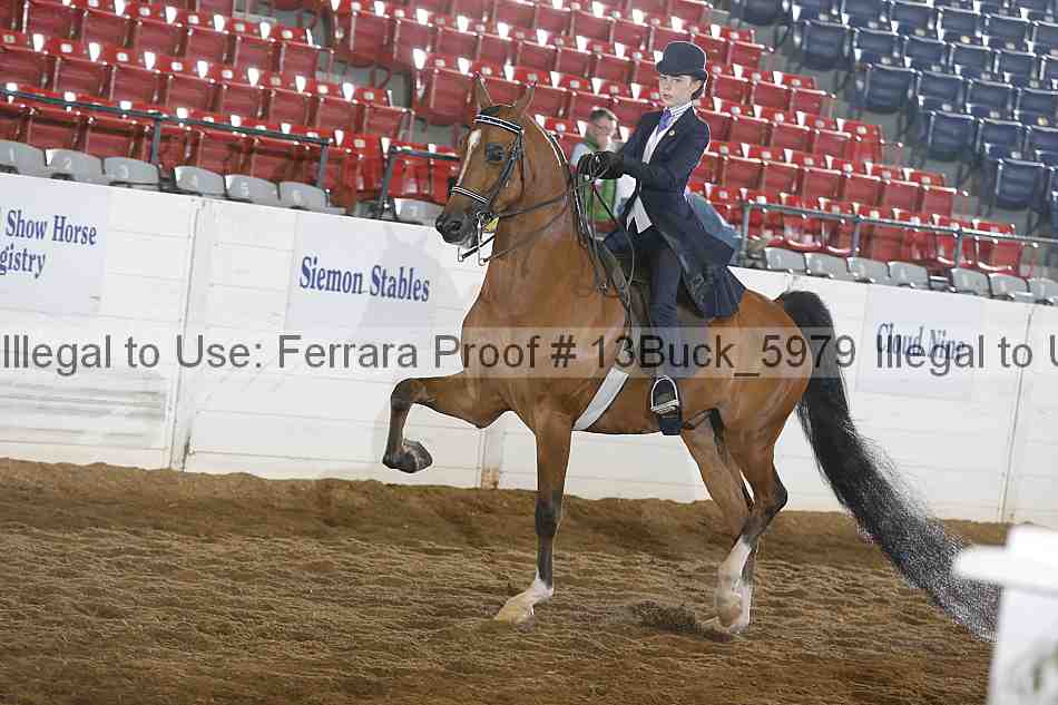 Proof 13buck_5979