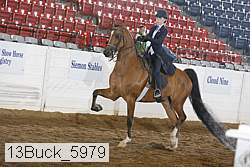 13buck_5979 proof