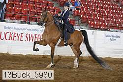 13buck_5980 proof