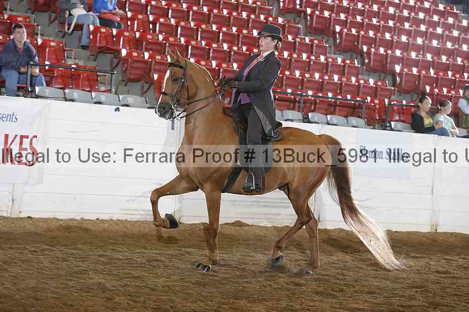 Proof 13buck_5981