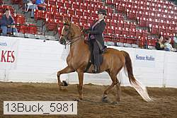 13buck_5981 proof