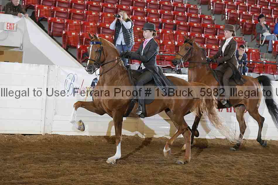Proof 13buck_5982