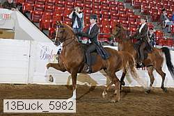 13buck_5982 proof