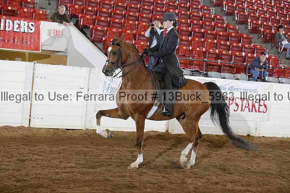 Proof 13buck_5983