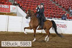 13buck_5983 proof