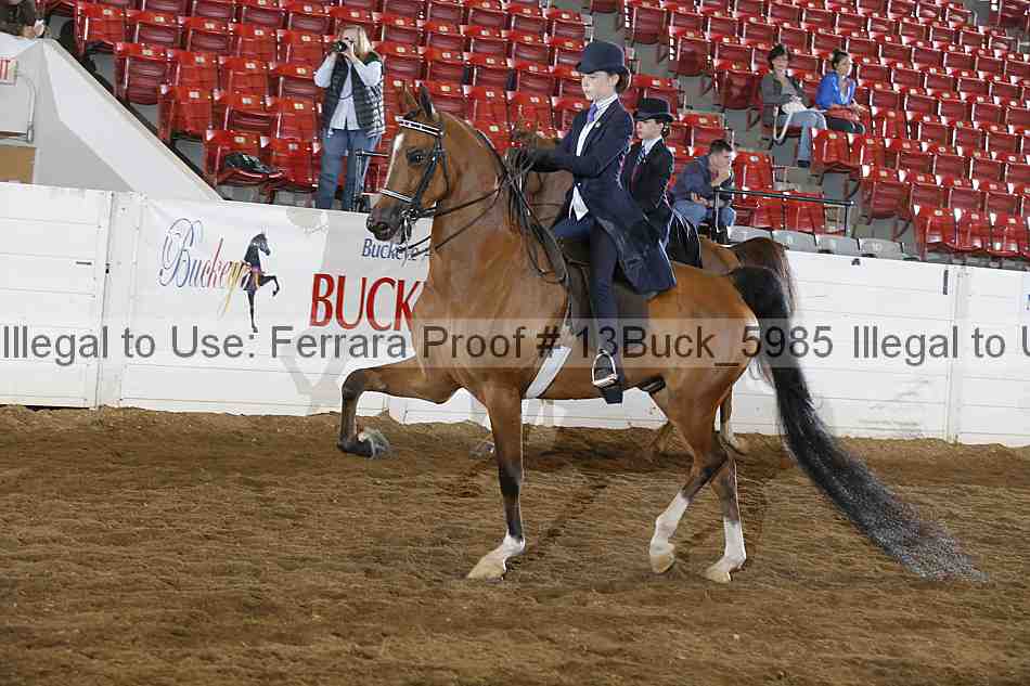 Proof 13buck_5985
