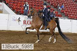 13buck_5985 proof