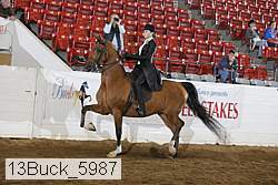 13buck_5987 proof