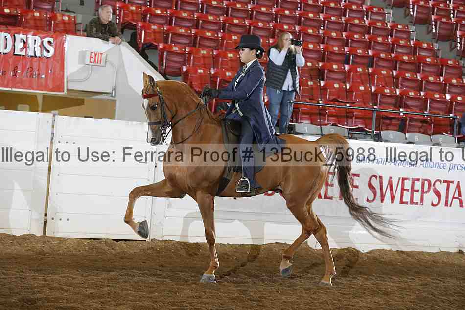Proof 13buck_5988