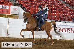 13buck_5988 proof
