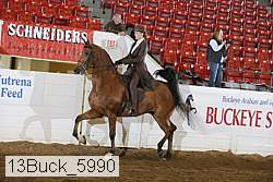 13buck_5990 proof