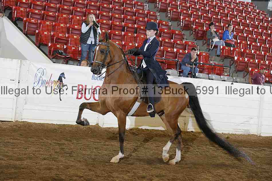 Proof 13buck_5991