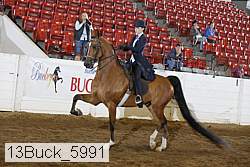 13buck_5991 proof