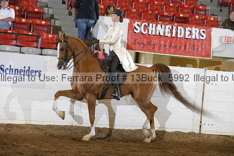 Proof 13buck_5992
