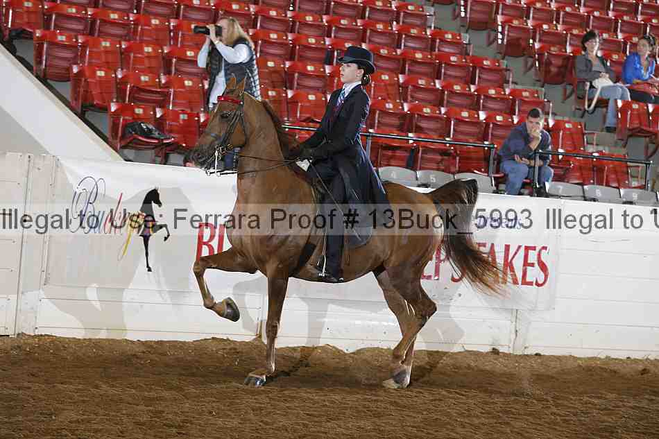 Proof 13buck_5993