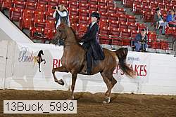 13buck_5993 proof