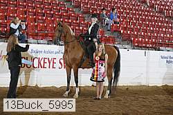 13buck_5995 proof