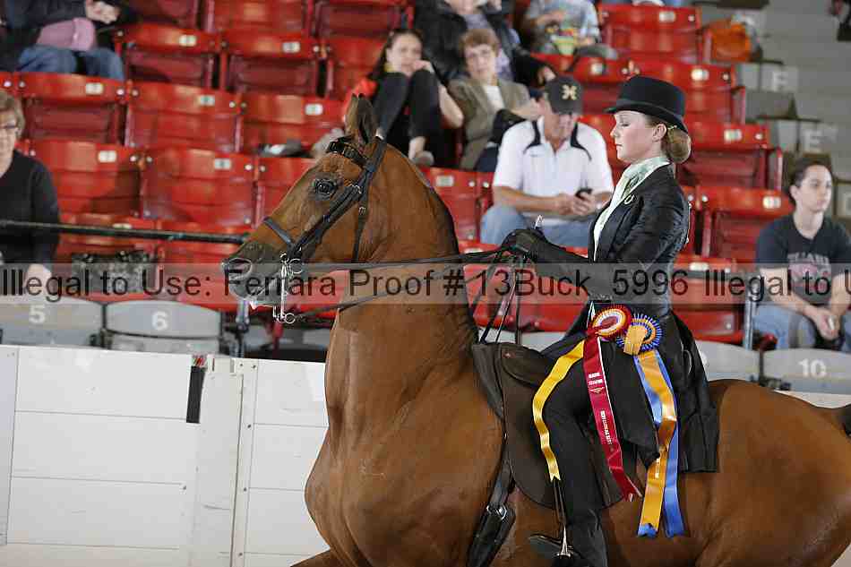 Proof 13buck_5996