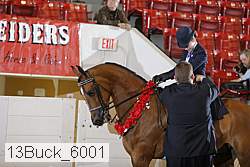 13buck_6001 proof