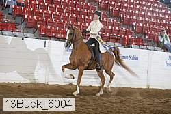 13buck_6004 proof