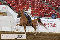 13buck_6005 proof