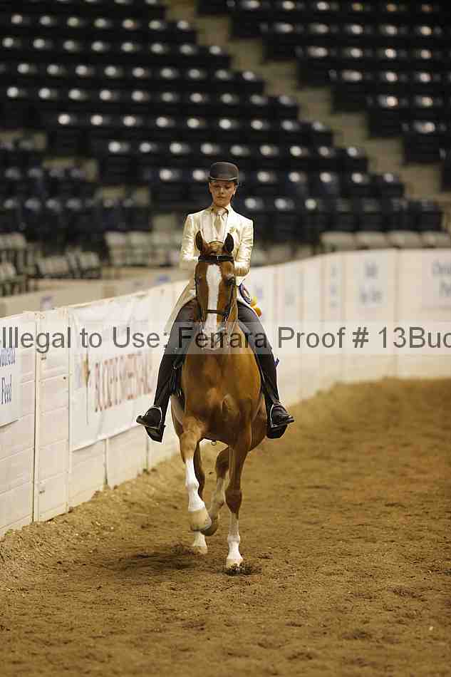 Proof 13buck_6006