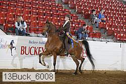 13buck_6008 proof