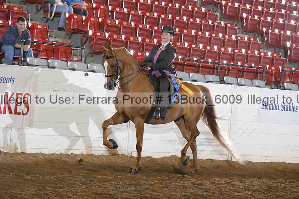 Proof 13buck_6009