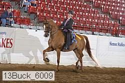 13buck_6009 proof