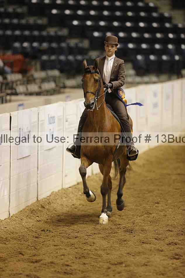 Proof 13buck_6010