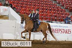 13buck_6011 proof