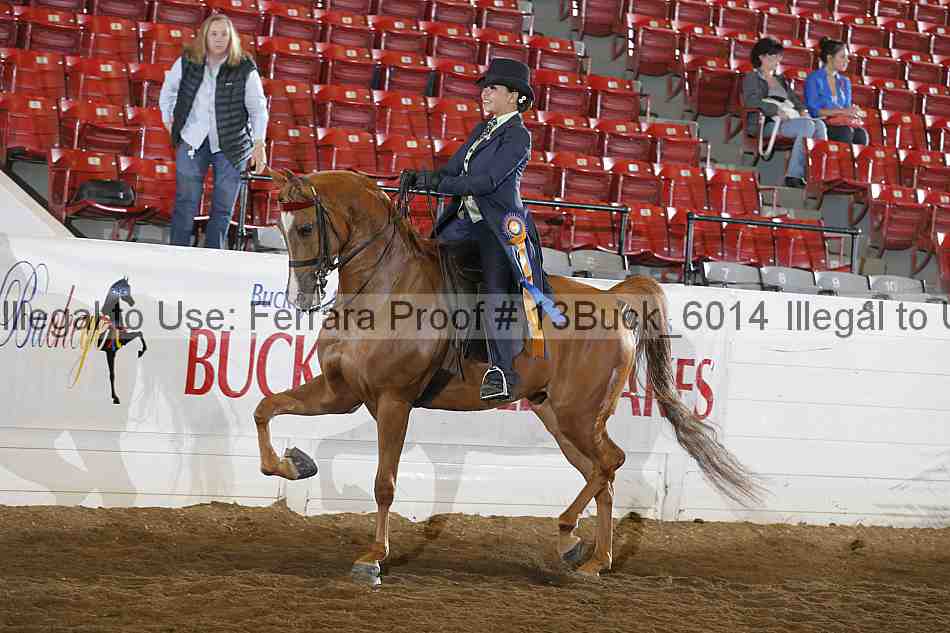 Proof 13buck_6014