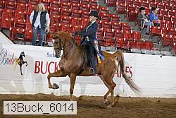 13buck_6014 proof