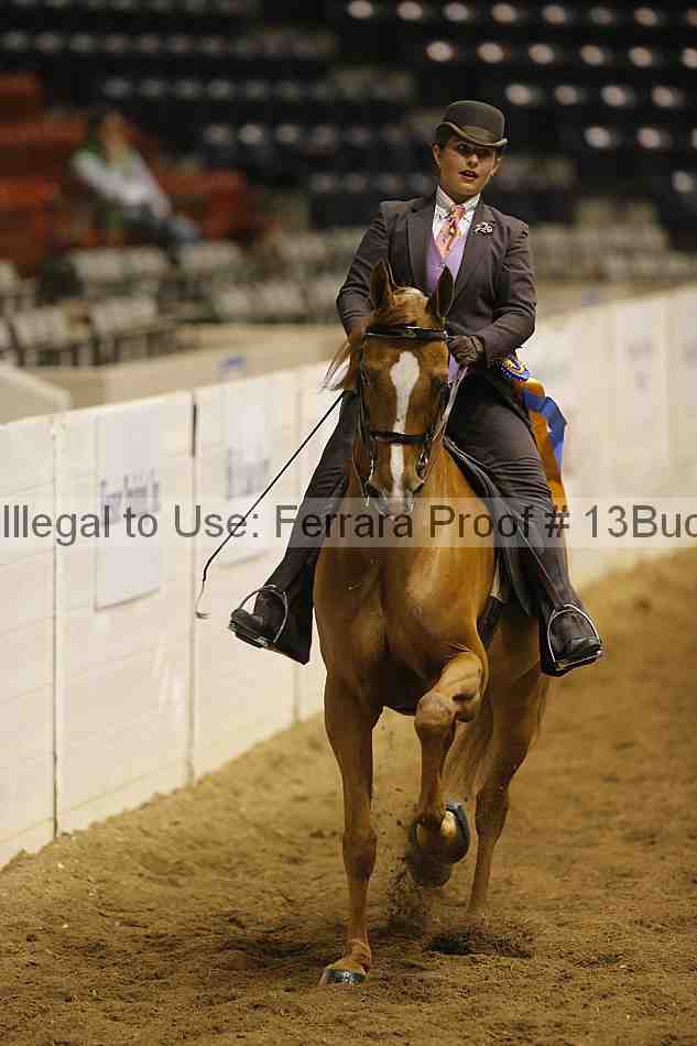 Proof 13buck_6015