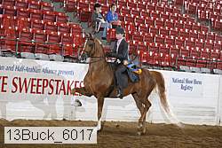 13buck_6017 proof