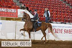 13buck_6018 proof
