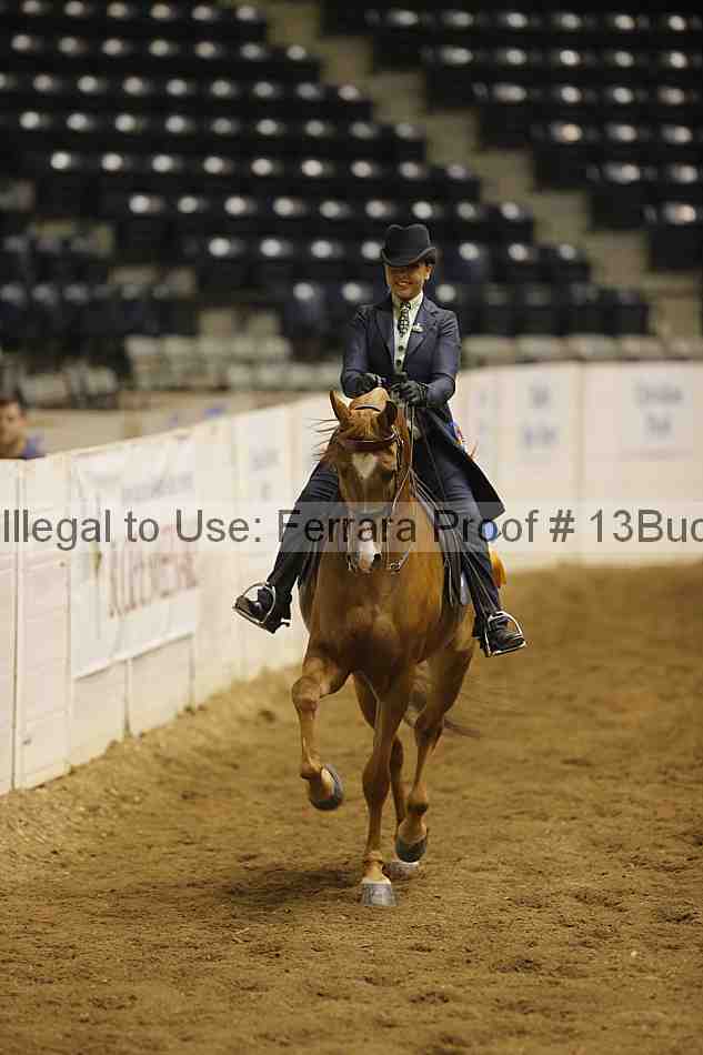 Proof 13buck_6019